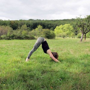 posture-adho-mukka-svanasana-1000px-300x300 posture-adho-mukka-svanasana-1000px